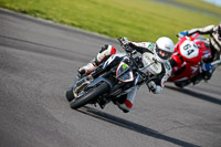 PJ-Motorsport-2019;anglesey-no-limits-trackday;anglesey-photographs;anglesey-trackday-photographs;enduro-digital-images;event-digital-images;eventdigitalimages;no-limits-trackdays;peter-wileman-photography;racing-digital-images;trac-mon;trackday-digital-images;trackday-photos;ty-croes